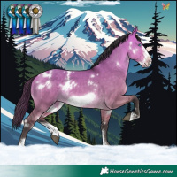 Horse Color:White Spotted Buckskin Dun Sabino Frame 
