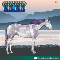 Horse Color:Watercolor White Spotted Buckskin Dun Splash Rabicano