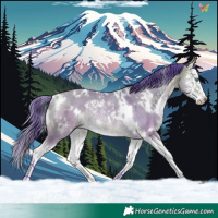 Horse Color:Watercolor White Spotted Buckskin Dun Splash Rabicano 