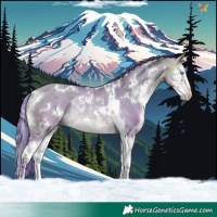 Horse Color:Watercolor White Spotted Buckskin Dun Splash Rabicano 
