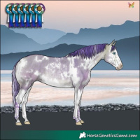 Horse Color:Watercolor White Spotted Buckskin Dun Splash Rabicano