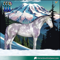 Horse Color:Watercolor White Spotted Buckskin Dun Splash Rabicano