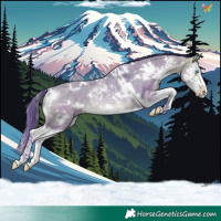 Horse Color:Watercolor White Spotted Buckskin Dun Splash Rabicano