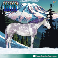Horse Color:Watercolor White Spotted Buckskin Dun Splash Rabicano
