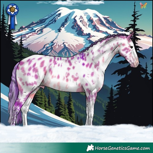 Horse Color:Watercolor White Spotted Brown Dun Splash Appaloosa 