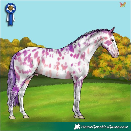 Horse Color:Watercolor White Spotted Brown Dun Splash Appaloosa 