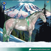 Horse Color:Watercolor White Spotted Buckskin Dun Frame Rabicano