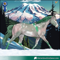 Horse Color:Watercolor White Spotted Buckskin Dun Frame Rabicano 