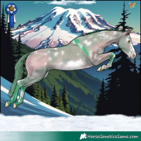 Horse Color:Watercolor White Spotted Buckskin Dun Frame Rabicano 