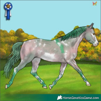 Horse Color:Watercolor White Spotted Buckskin Dun Frame Rabicano 