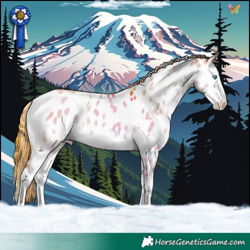 Horse Color:Watercolor White Spotted Liver Red Dun Splash Appaloosa Rabicano 