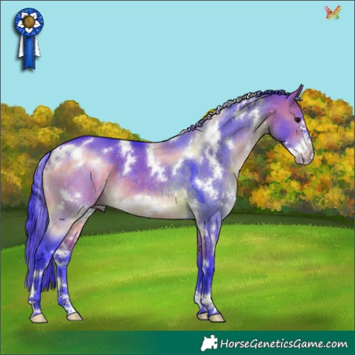 Horse Color:Watercolor White Spotted Brown Dun Frame 