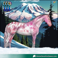 Horse Color:Watercolor White Spotted Chocolate Palomino Dun Appaloosa 