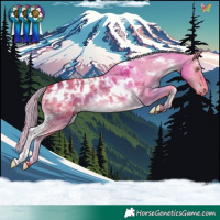 Horse Color:Watercolor White Spotted Chocolate Palomino Dun Appaloosa