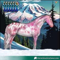 Horse Color:Watercolor White Spotted Chocolate Palomino Dun Appaloosa 