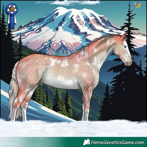 Horse Color:Watercolor White Spotted Chocolate Palomino Dun Splash Rabicano 