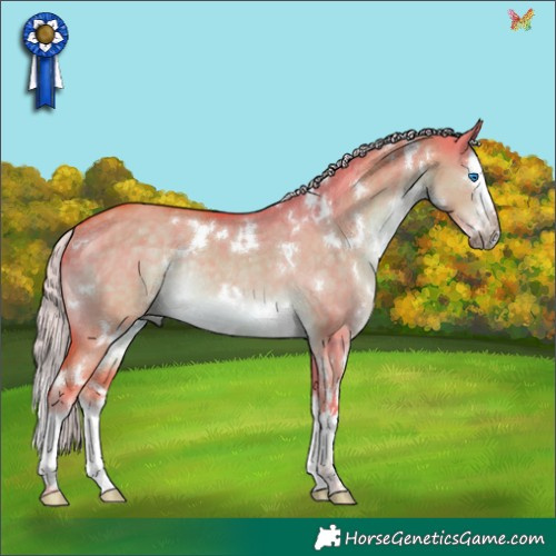 Horse Color:Watercolor White Spotted Chocolate Palomino Dun Splash Rabicano 