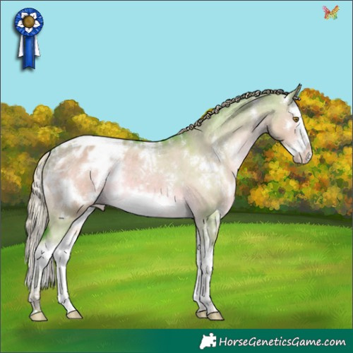 Horse Color:Watercolor White Spotted Chocolate Palomino Dun Splash Frame Appaloosa Rabicano 