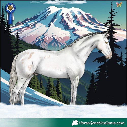 Horse Color:Watercolor White Spotted Chocolate Palomino Dun Splash Frame Appaloosa Rabicano 
