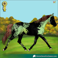 Horse Color:Void Painted Watercolor Chestnut Splash Tobiano 
