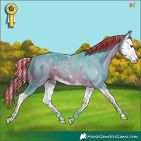 Horse Color:Painted Watercolor White Spotted Silver Bay Splash