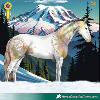 Horse Color:Nacre Watercolor Liver Chestnut Splash Tobiano