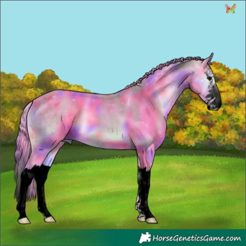 Horse Color:Void Nacre Watercolor White Spotted Bay Onyx Splash 