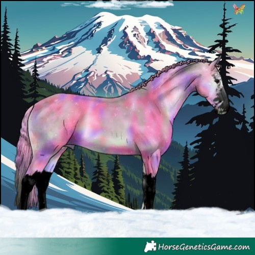 Horse Color:Void Nacre Watercolor White Spotted Bay Onyx Splash 