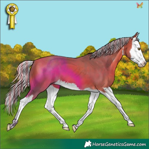 Horse Color:Painted Watercolor White Spotted Silver Bay Splash 