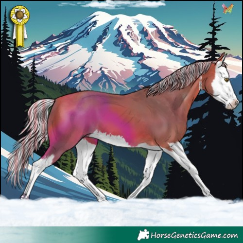 Horse Color:Painted Watercolor White Spotted Silver Bay Splash 
