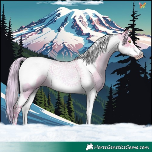 Horse Color:Watercolor Gold Champagne Roan Dun Tobiano Frame 