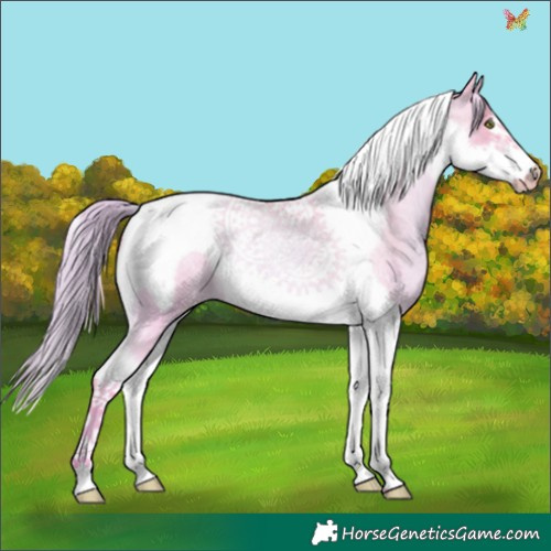 Horse Color:Watercolor Gold Champagne Roan Dun Tobiano Frame 