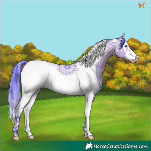Horse Color:Watercolor Sable Champagne Dun Splash Tobiano Frame 