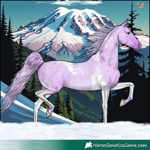 Horse Color:Watercolor Red Dun Roan Tobiano 