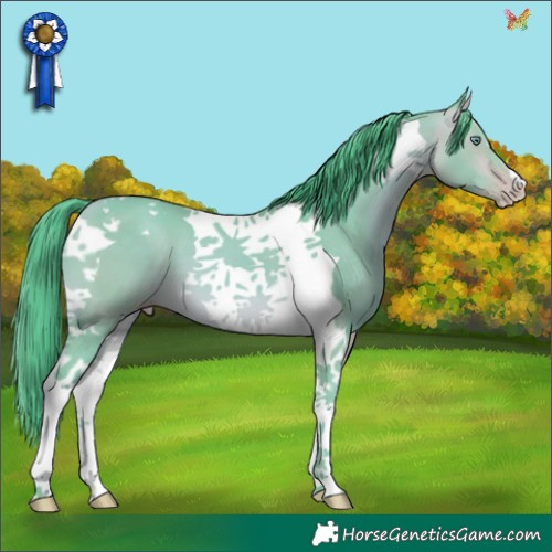 Horse Color:Watercolor Amber Cream Champagne Tobiano 