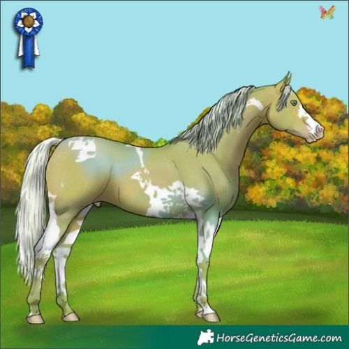 Horse Color:Watercolor Silver Amber Champagne Tobiano 