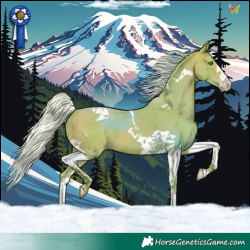 Horse Color:Watercolor Silver Amber Champagne Tobiano 