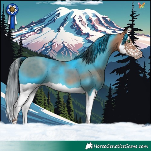 Horse Color:Sable Champagne Splash 