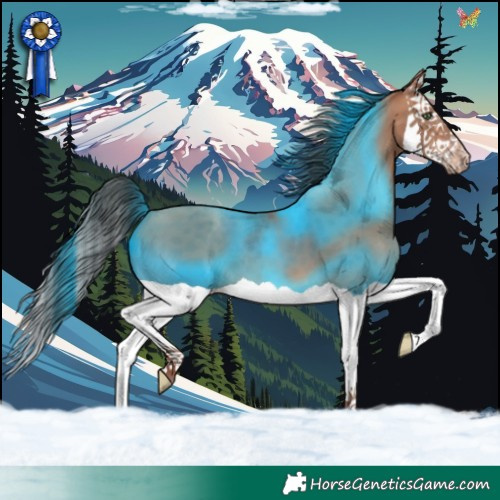 Horse Color:Sable Champagne Splash 