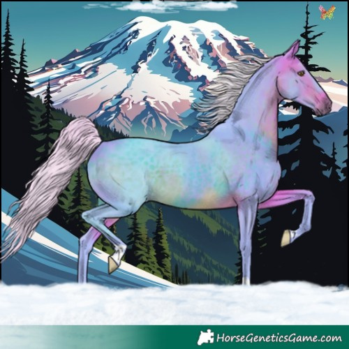 Horse Color:Watercolor Silver Brown 