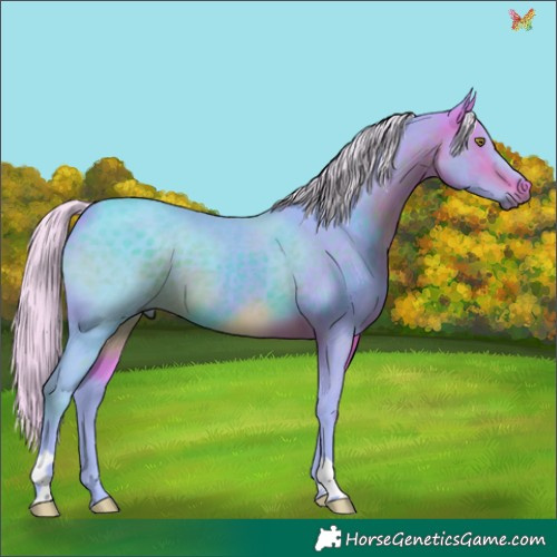 Horse Color:Watercolor Silver Brown 