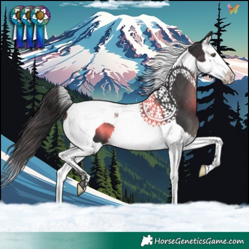Horse Color:Smoky Black Splash Tobiano 