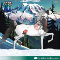 Horse Color:Smoky Black Splash Tobiano