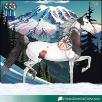 Horse Color:Smoky Black Splash Tobiano