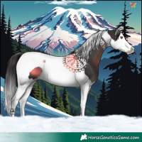Horse Color:Smoky Black Splash Tobiano
