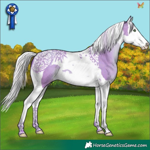 Horse Color:Watercolor Silver Sable Champagne Splash Tobiano 