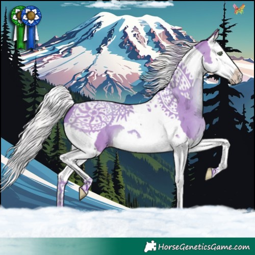 Horse Color:Watercolor Silver Sable Champagne Splash Tobiano 