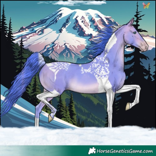 Horse Color:Watercolor Amber Cream Champagne Tobiano 