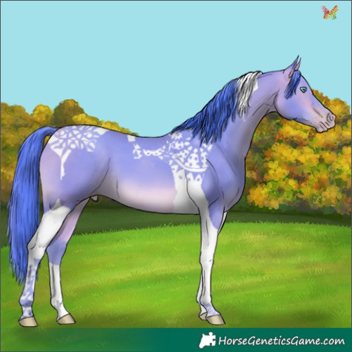 Horse Color:Watercolor Amber Cream Champagne Tobiano 