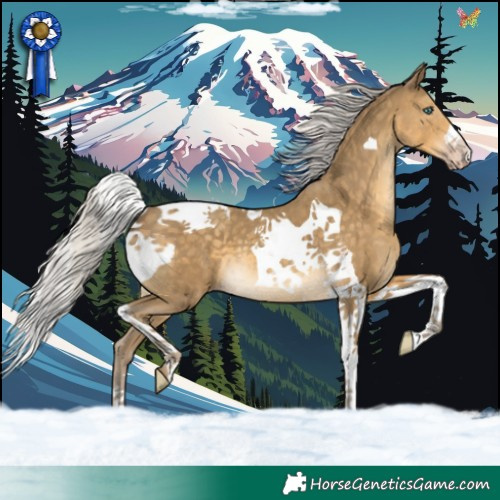 Horse Color:Silver Classic Cream Champagne Tobiano 
